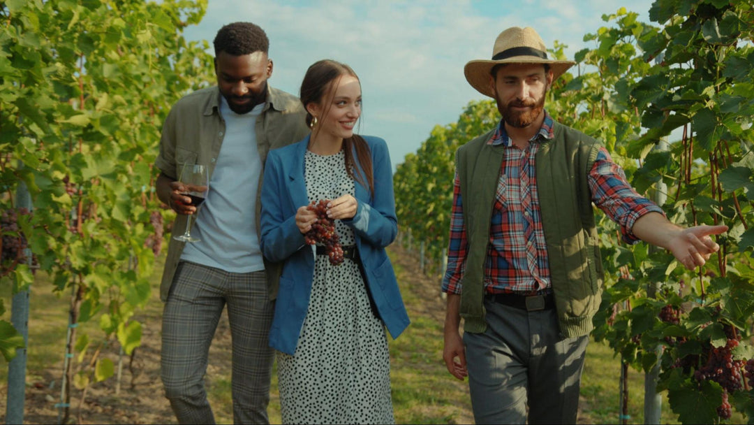 Winery Guest Experience